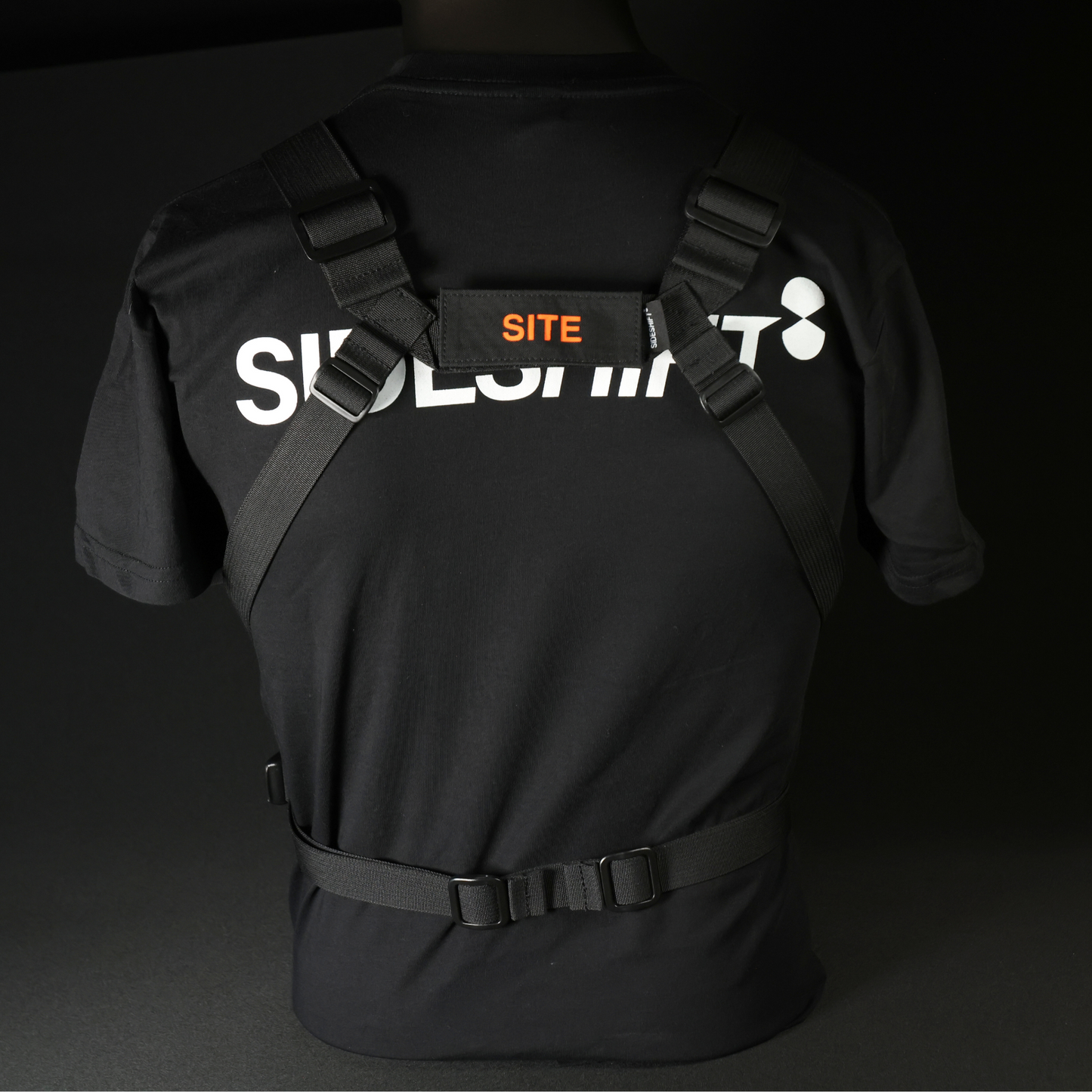 Chest Rig Type 2 (BLK/BLUE)