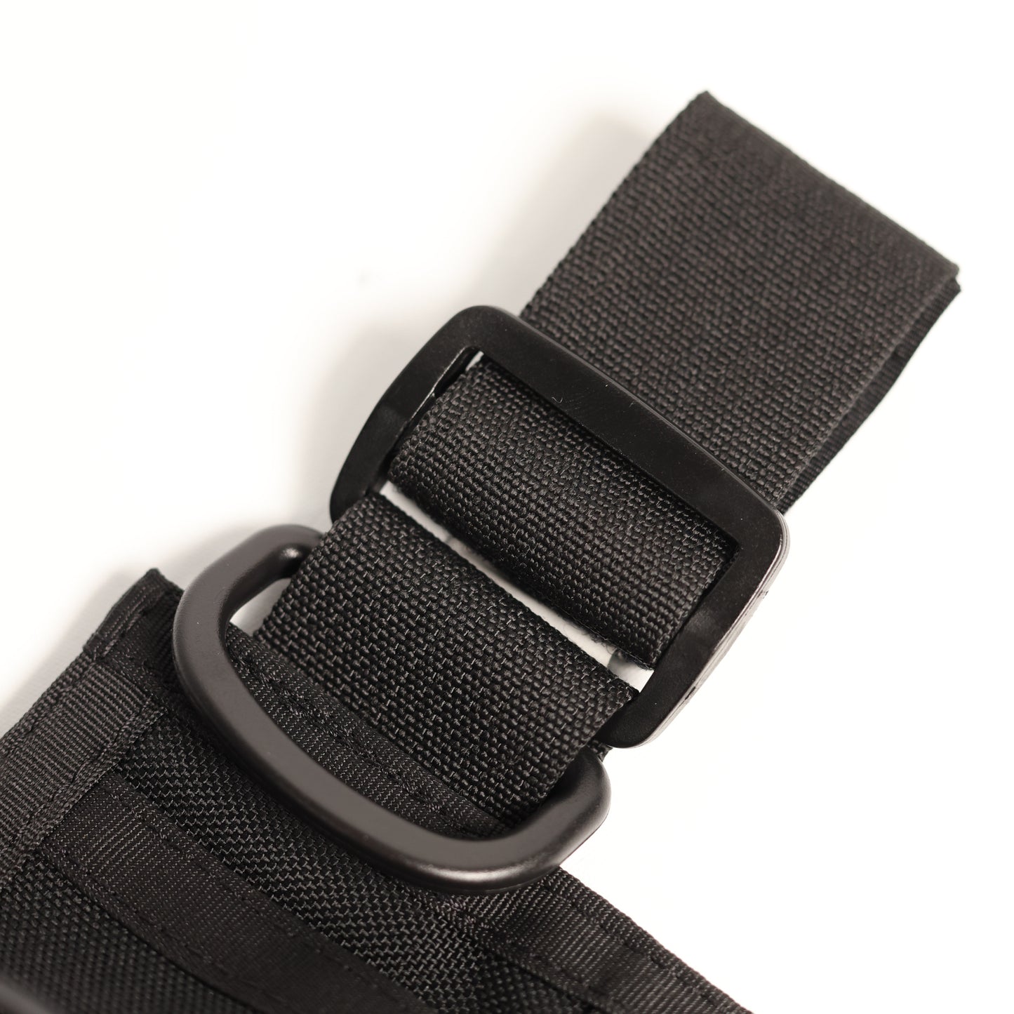 Thigh Rig (T4)