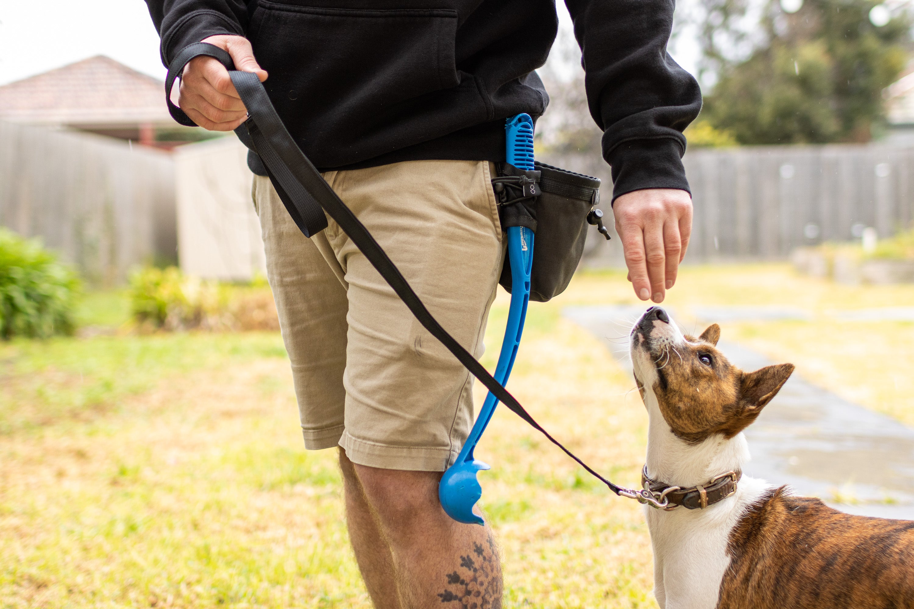 Sideshift Gear The Dog Walker Australian Made Dog Products